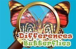 Differences Butterflies Puzzle Game Online