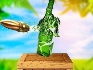 Bottle Shoot: Target Practice Game
