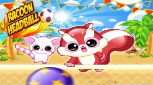 Coastal Raccoon Ball Match
